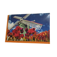 Kaart Tulpen en Windmolen / Card Tulips and Windmill