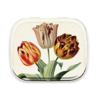 Pepermunt blikje Tulpen / Peppermint in a tin Tulips