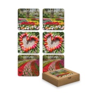 Onderzetters Tulpen/ Coasters Tulpen (set of 6)