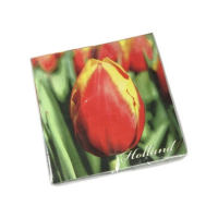 Servetten Rood/Geel Tulp/ Dutch serviettes Red/Yellow Tulip