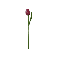 Roze Tulp Nederlands hout (groot) / Single Pink Dutch wooden tulip (large)