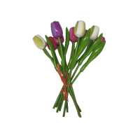 Tien Tulpen Nederlands hout (groot) / Ten Dutch wooden tulips (large)